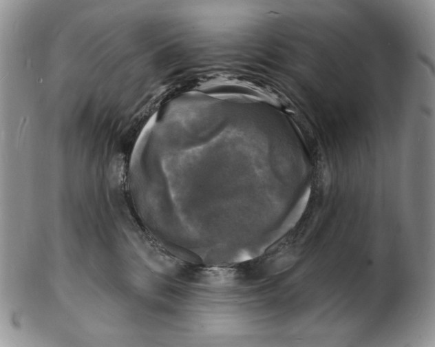 X0000102230328200808221314