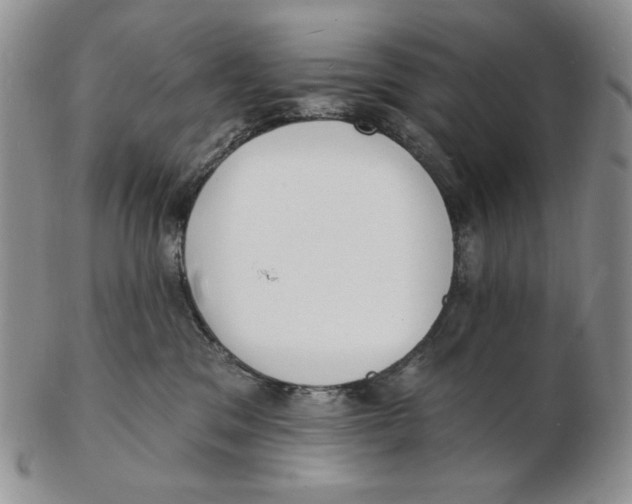 X0000102230329200808221313