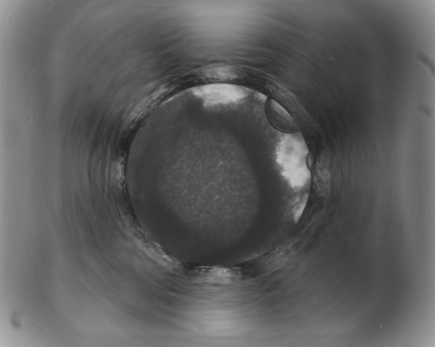 X0000102230330200808221313