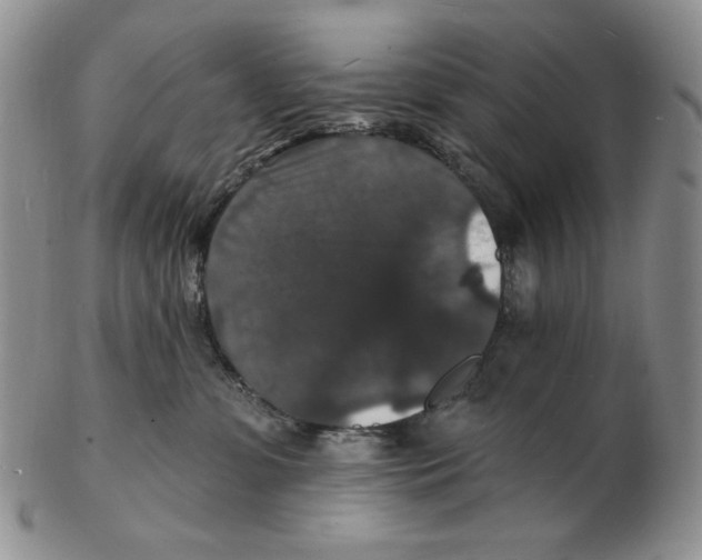 X0000102230331200808221313