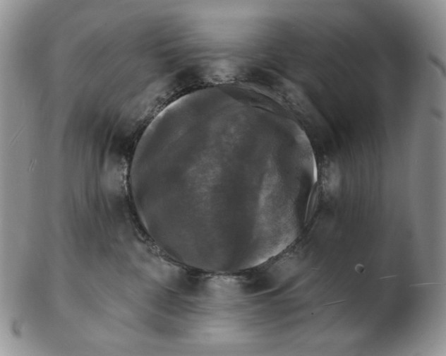 X0000102230332200808221313