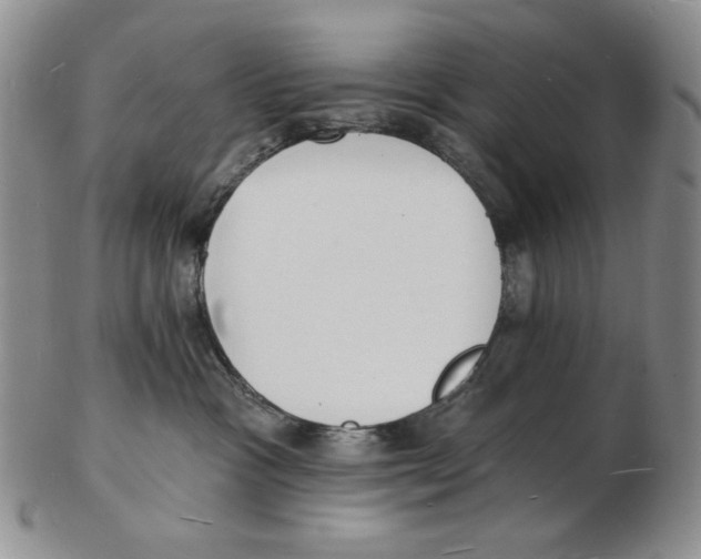 X0000102230333200808221313