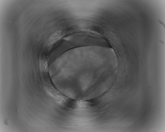X0000102230336200808221313