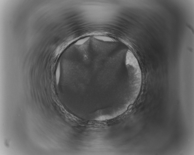 X0000102230337200808221313