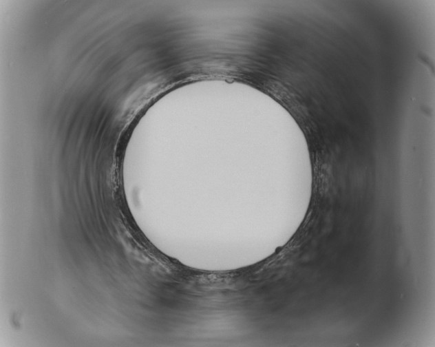 X0000102230338200808221313