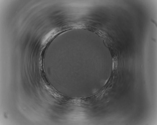 X0000102230339200808221313