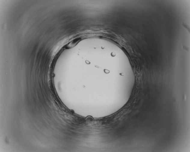 X0000102230340200808221313