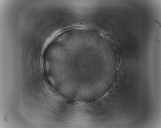 X0000102230343200808221313