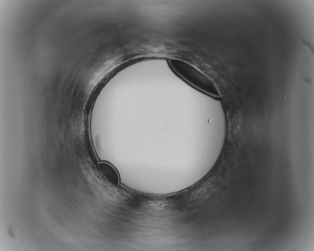 X0000102230344200808221313