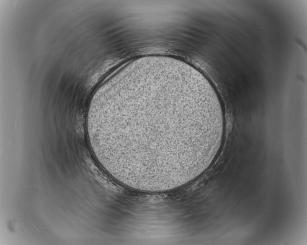 X0000102230345200808221313