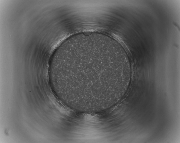 X0000102230346200808221313
