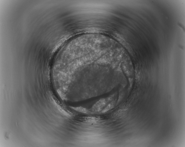X0000102230347200808221313