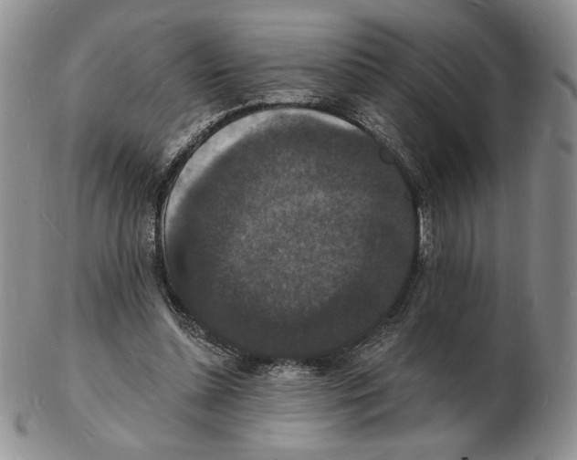 X0000102230348200808221313