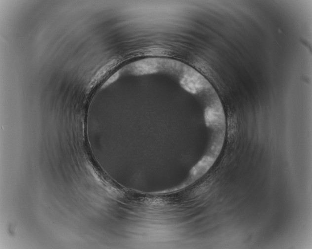 X0000102230349200808221313