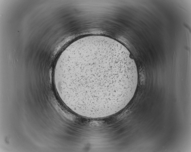 X0000102230350200808221313