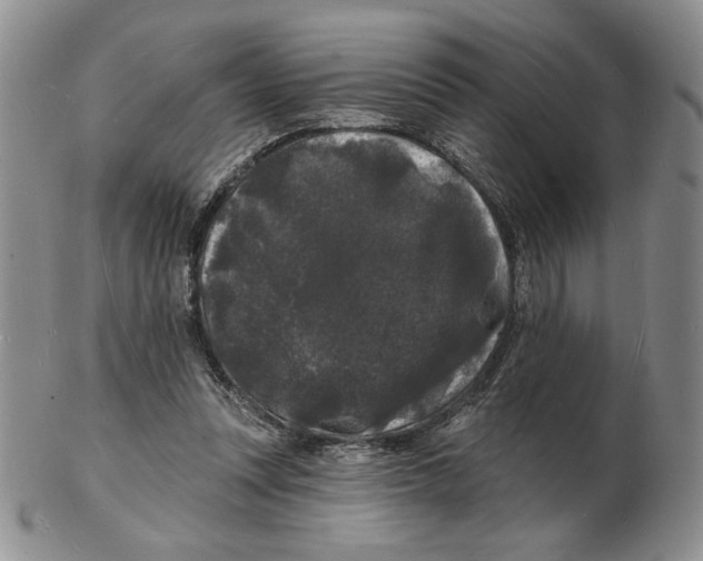 X0000102230351200808221313