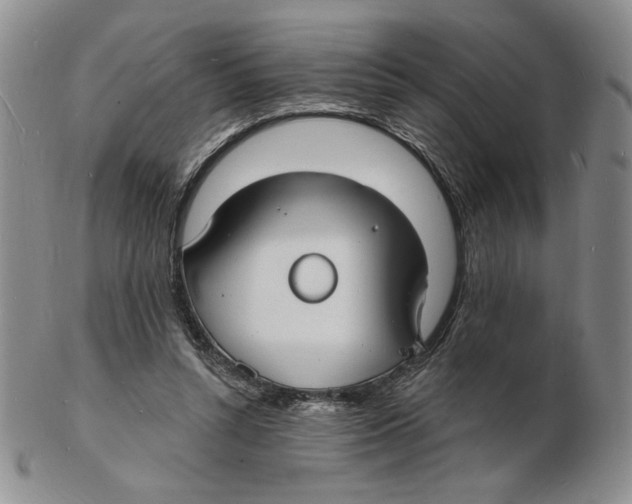 X0000102230352200808221313