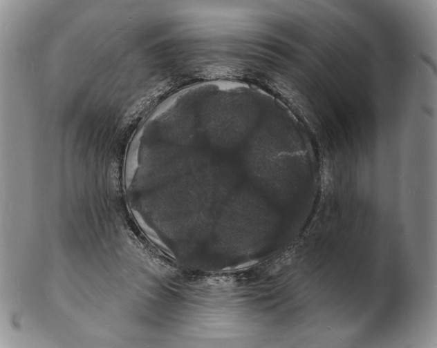 X0000102230353200808221313