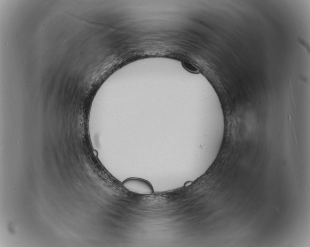X0000102230354200808221313