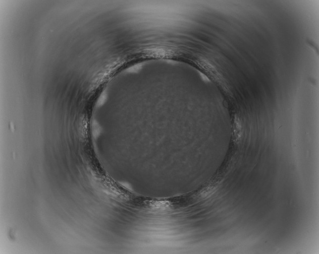X0000102230355200808221313