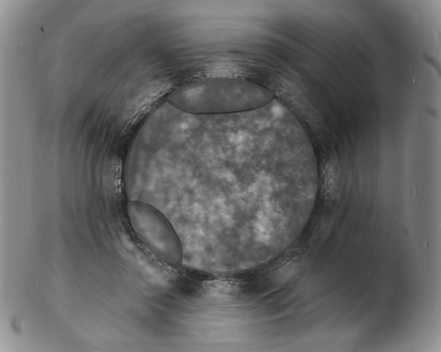 X0000102230356200808221313