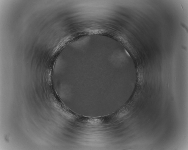 X0000102230357200808221313