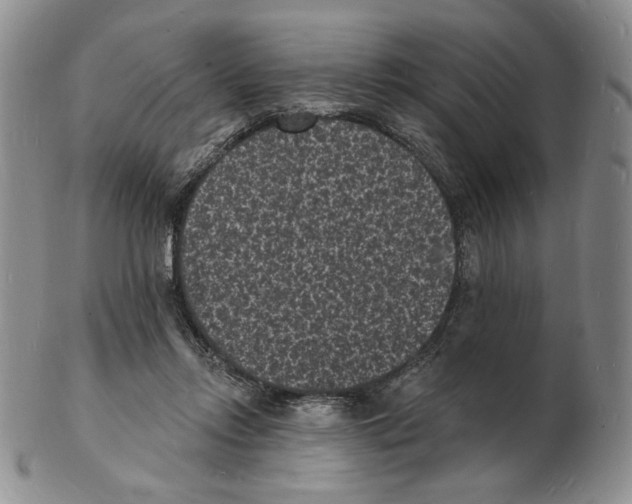 X0000102230358200808221313
