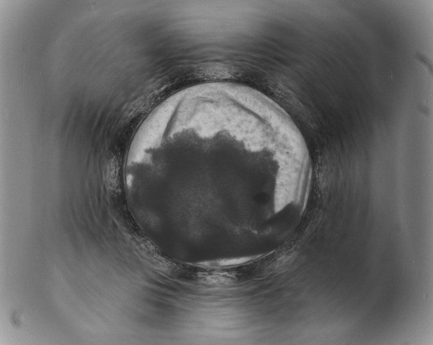 X0000102230359200808221313