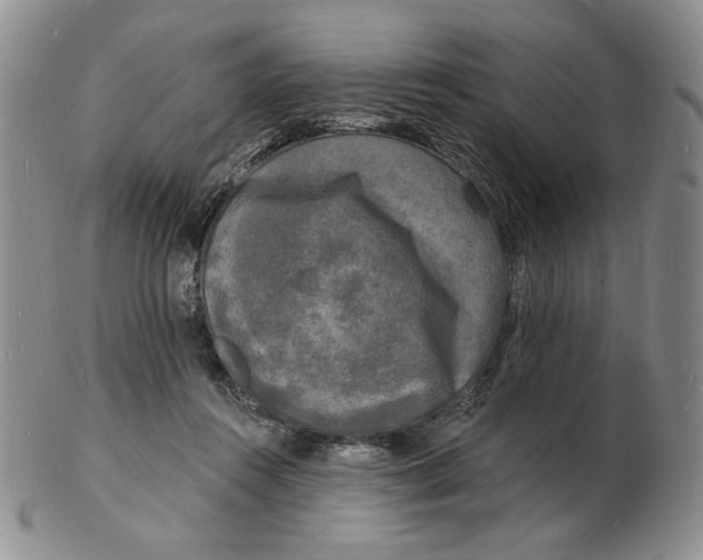 X0000102230360200808221313