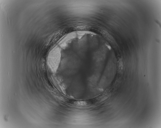 X0000102230361200808221313
