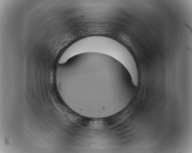 X0000102230362200808221313