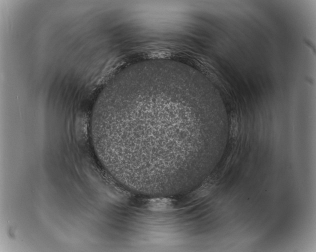 X0000102230363200808221313