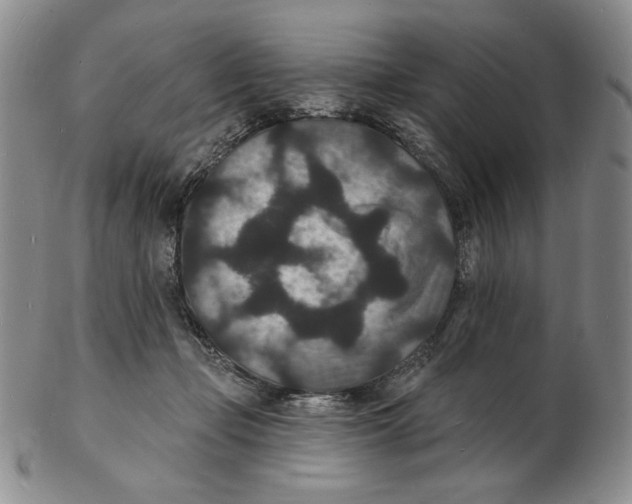 X0000102230365200808221313