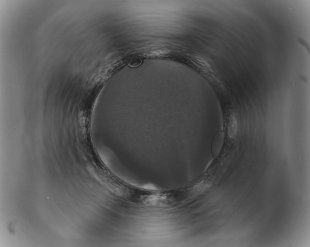 X0000102230366200808221313