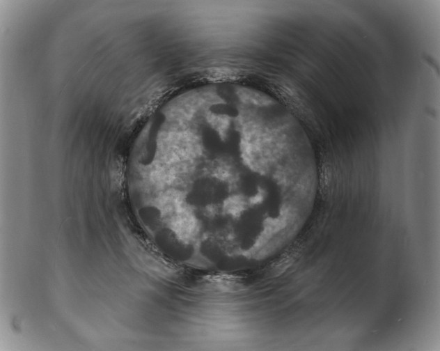 X0000102230367200808221313