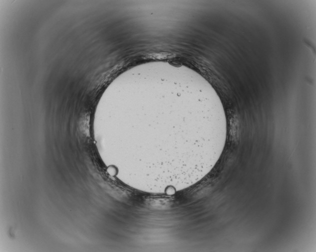 X0000102230368200808221313
