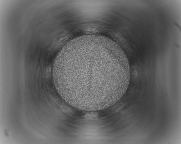 X0000102230369200808221313