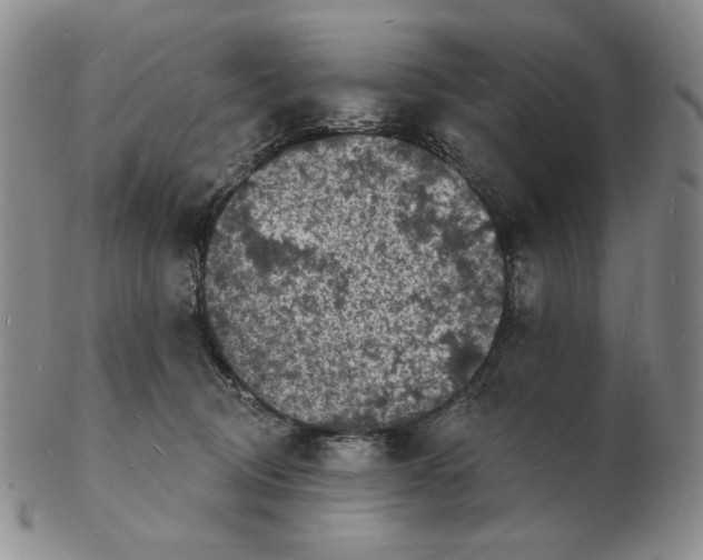 X0000102230370200808221313