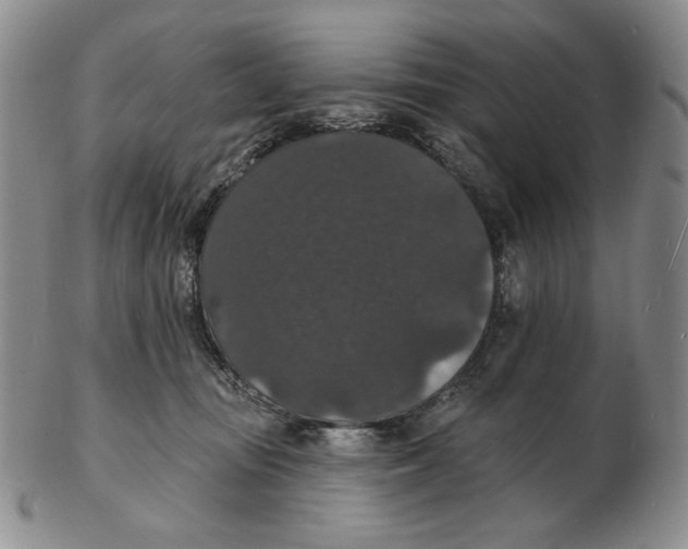 X0000102230371200808221313