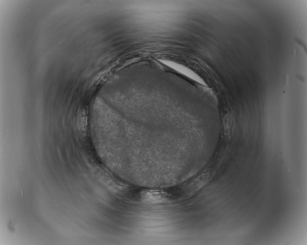 X0000102230372200808221313
