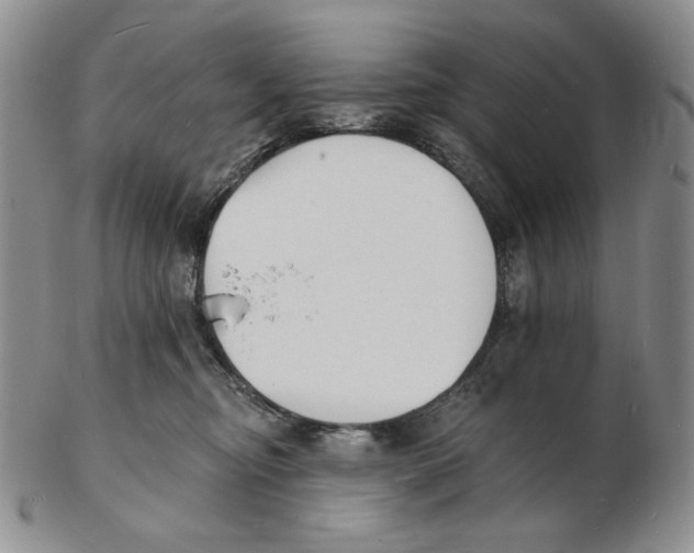 X0000102230374200808221313