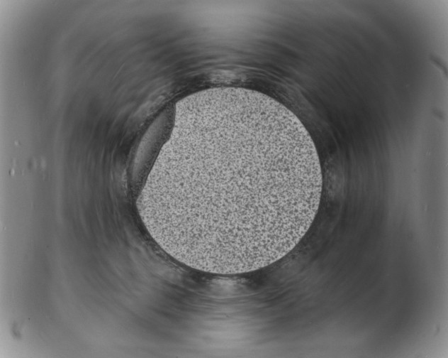 X0000102230375200808221313