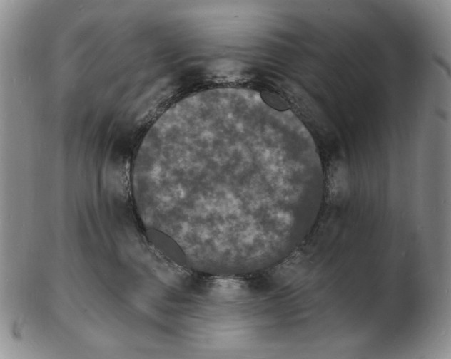 X0000102230376200808221313