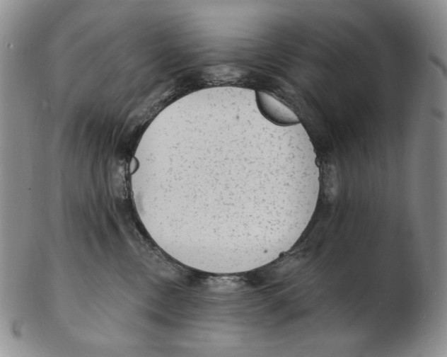 X0000102230378200808221313