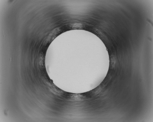 X0000102230379200808221313