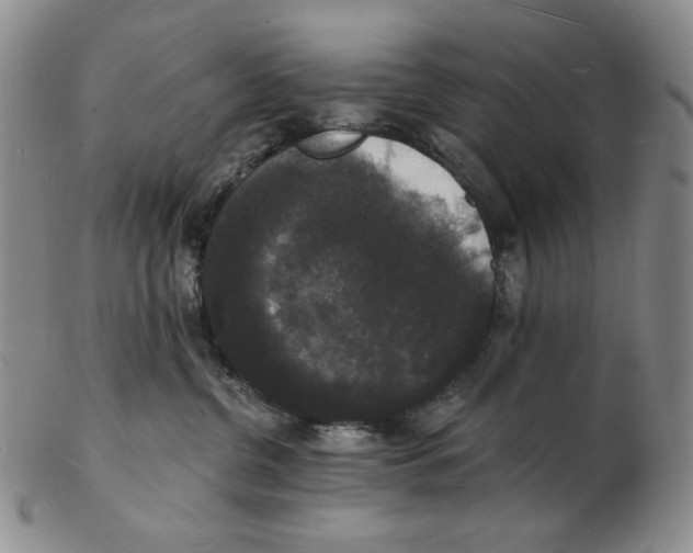 X0000102230380200808221313