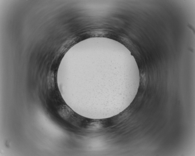 X0000102230381200808221313