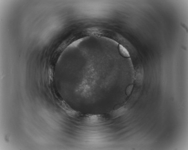 X0000102230382200808221313