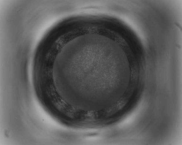 X0000102230383200808221313