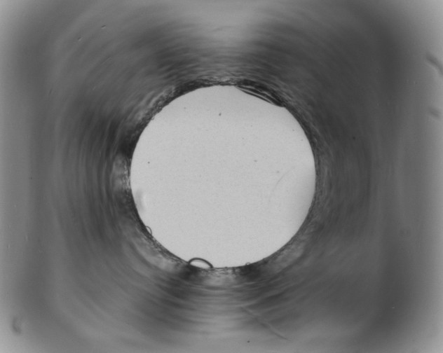 X0000102230384200808221313